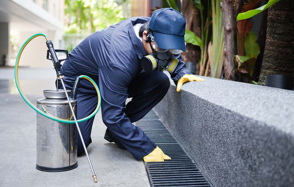 A man in a blue uniform, a specialist in hygiene and pest control, sprays a concrete wall. A man in a blue uniform, a specialist in hygiene and pest control, sprays a concrete wall.