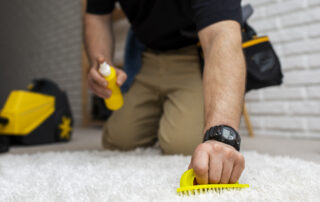 Professional carpet cleaning service using deep cleaning techniques to remove stains and dirt from a rug.