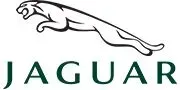 “Luxury Car Dealership Exterior Cleaning: Keeping Jaguar Showrooms Spotless” Jaguar dealership building undergoing professional exterior cleaning with high-pressure washing for a pristine look.